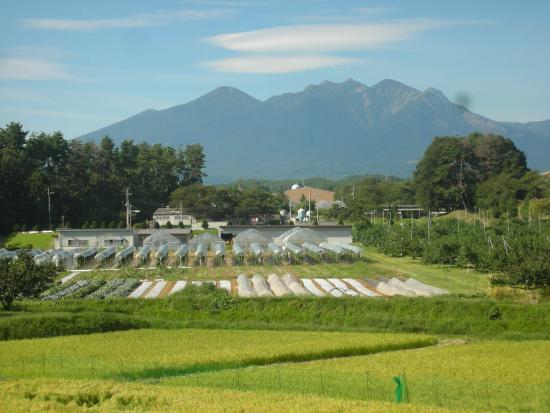 ほ場から八ヶ岳