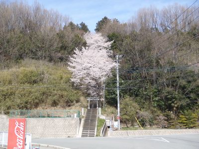 hakusanjinja