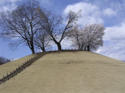 maruyama