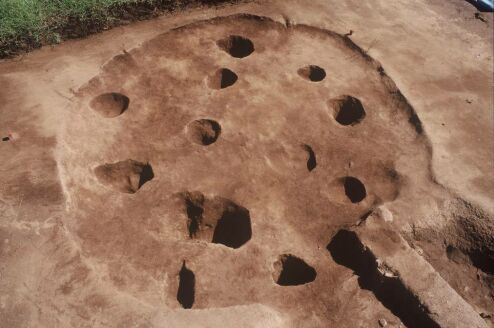 大木戸遺跡でみつかった約6,000年前の家