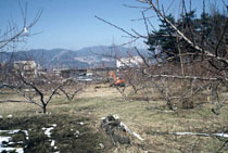 狐原遺跡調査前風景