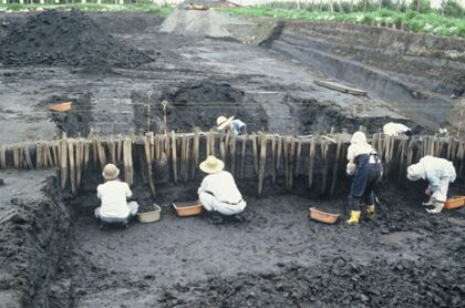 遺跡トピックスNo.0340向河原遺跡杭列