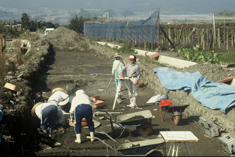 二本柳遺跡全景1