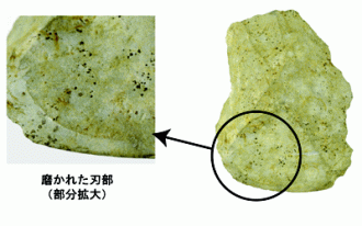 刃部磨製石斧の写真