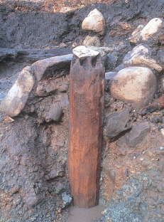 木柱（発掘時）
