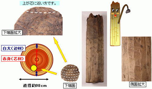 立柱