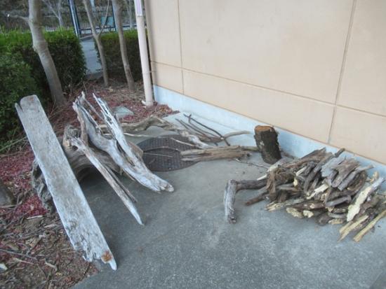 令和7年12月9日の流木1