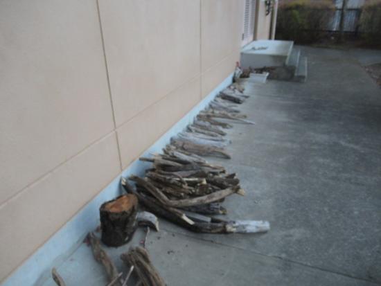 令和7年12月9日の流木2