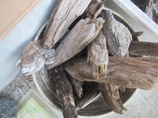 令和7年12月9日の流木4