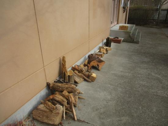 令和8年3月12日の流木1