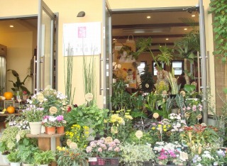 株式会社 岡村生花造花店
