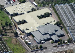 image333-1