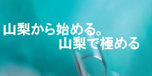 山梨から始める。山梨で極める