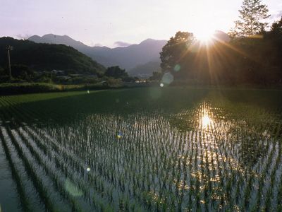 夏至