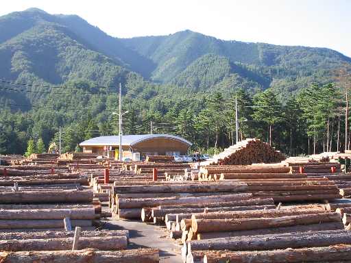 県産材を扱う木材市場