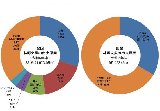 R6林野火災の出火原因