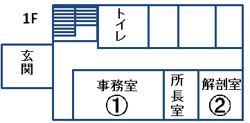 1階平面図