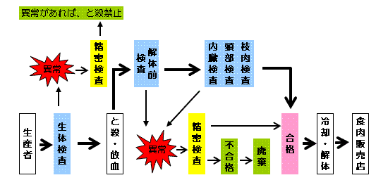 と畜検査の流れ