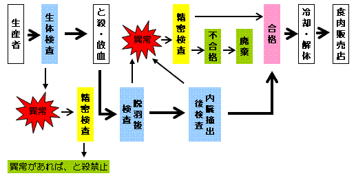 食鳥検査の流れ