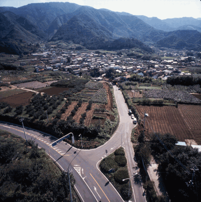 0393_上野原遺跡_全景