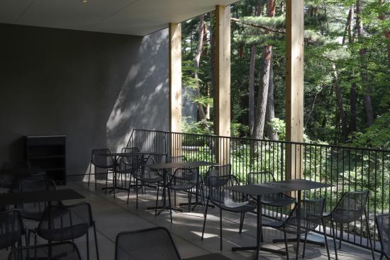 hakusyuuterasunaikan