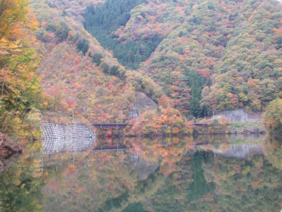 20141105湖面からみた紅葉