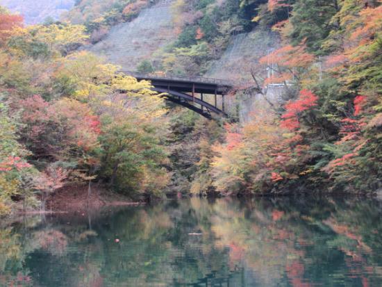 20141105湖面からみた紅葉4