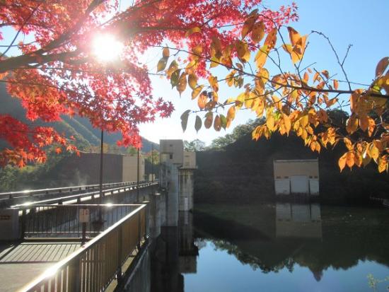 令和4年11月2日撮影の紅葉1