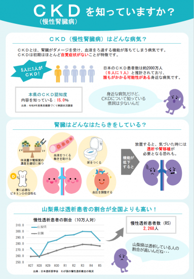 CKDチラシ1