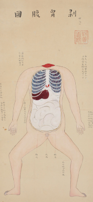 解剖図（山脇東洋作、国立科学博物館蔵）