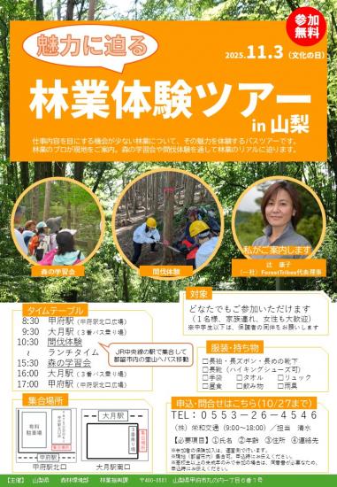 chirashi7-3