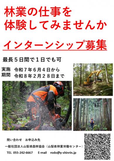 chirashi7-2