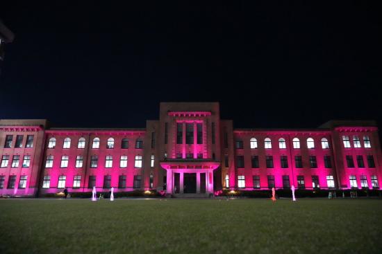 パープルライトアップ１