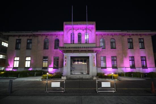 パープルライトアップ２