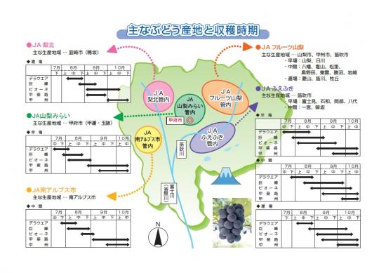 ぶどう地図