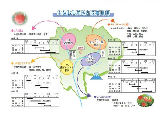 もも地図