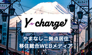Y-charge_300x180