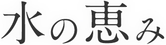 水の恵み