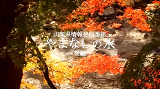 /images/78324/movie2.jpg