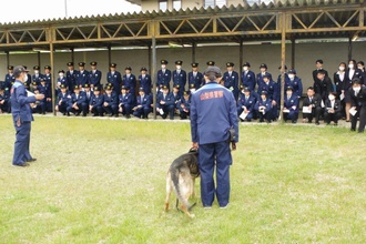 警察犬1