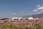 株式会社 土橋製作所