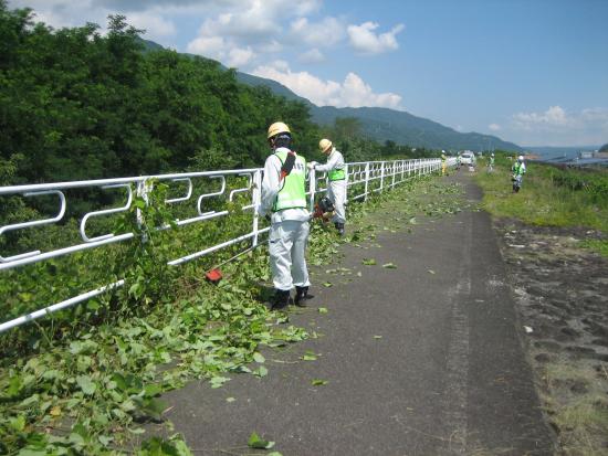 河川清掃3