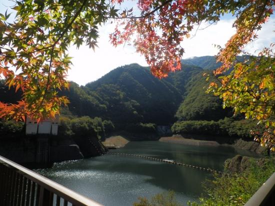 令和7年10月23日の深城ダムの紅葉2