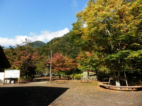 令和7年10月23日の小金沢公園1