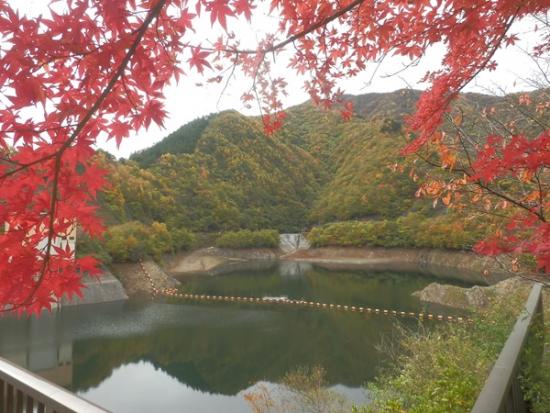 令和7年11月6日の深城ダム2