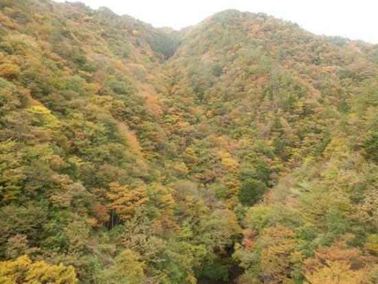 令和7年11月6日の深城ダム5