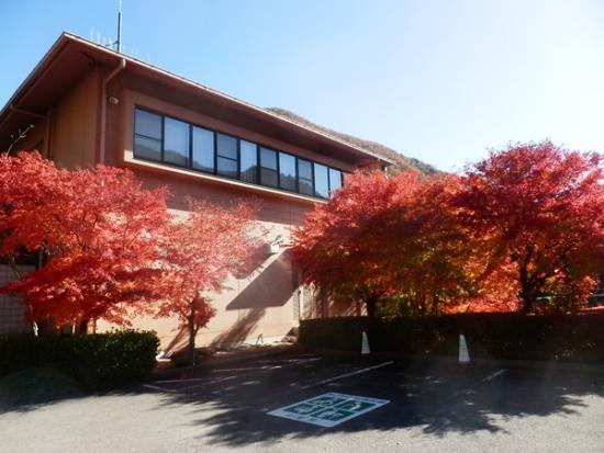 令和7年11月14日の紅葉3