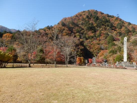 令和7年11月14日の小金沢公園