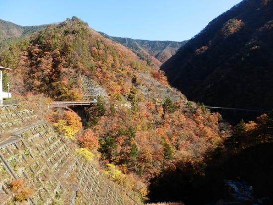 令和6年11月21日の深城ダム2