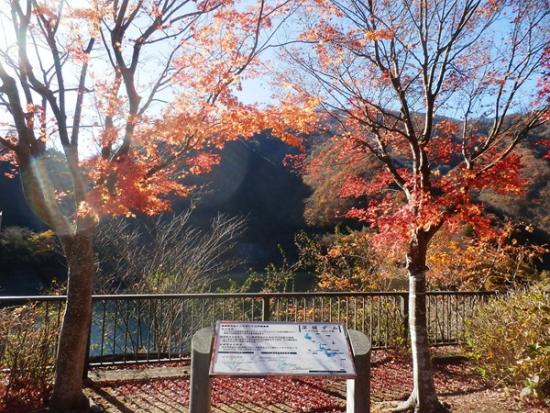 令和6年11月21日の深城ダム3